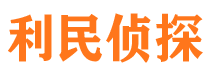 大渡口市调查公司